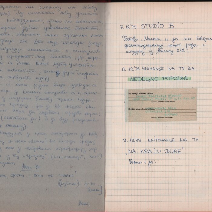 The Diary of Nela Antonović 