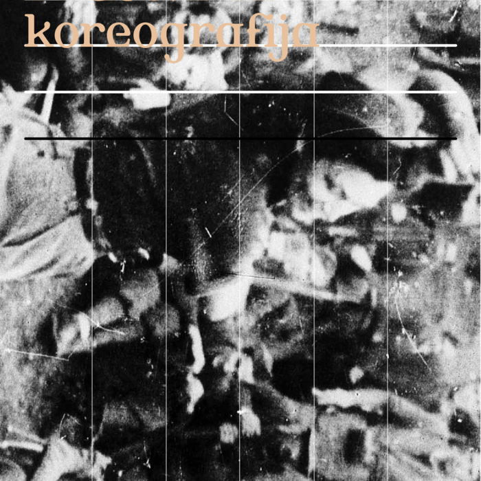 tkh_br_21_social choreography.pdf