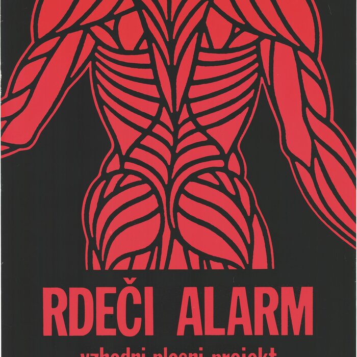 Eastern Dance Project: The Red Alarm