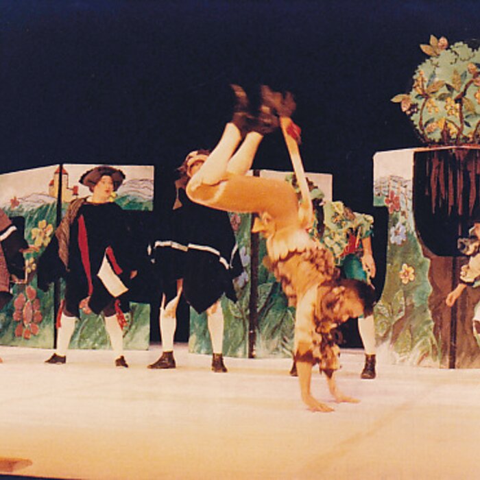 Ferdinand The Bull