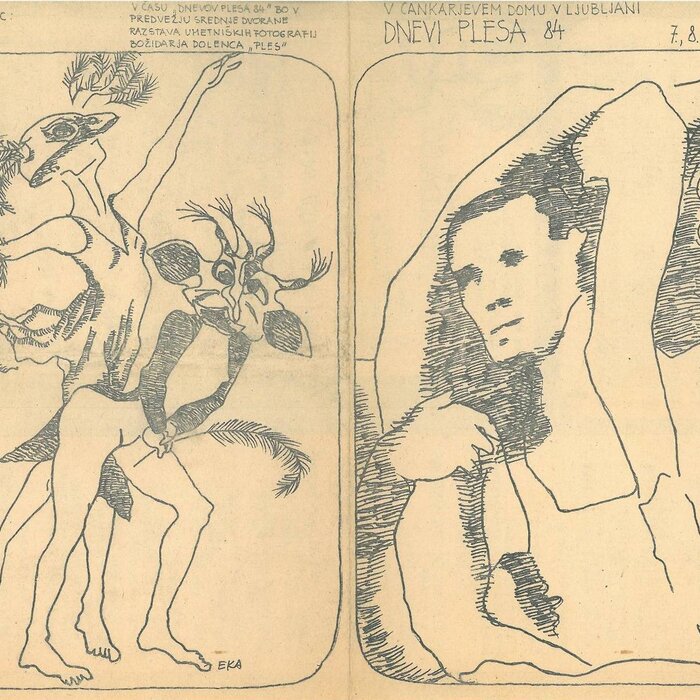The Dance Days Festival