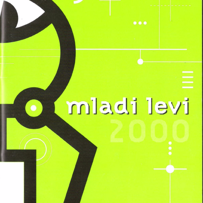 PDF Preview