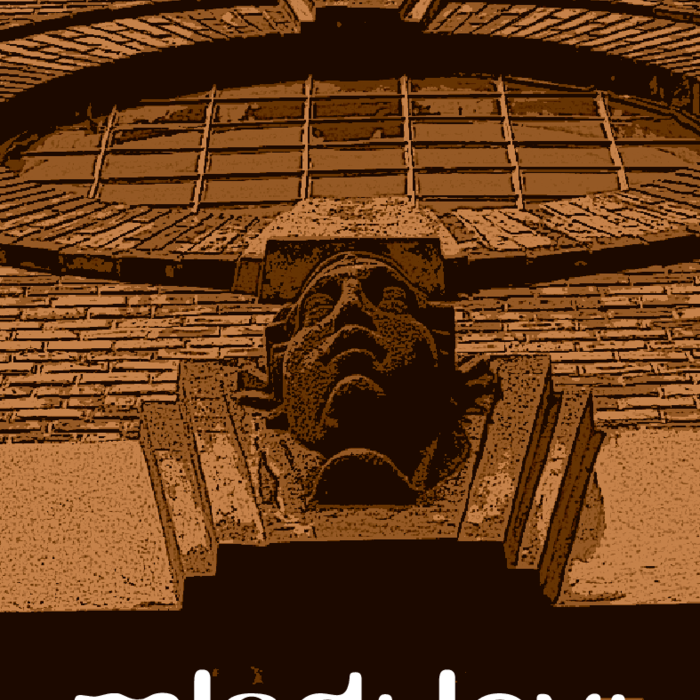 PDF Preview
