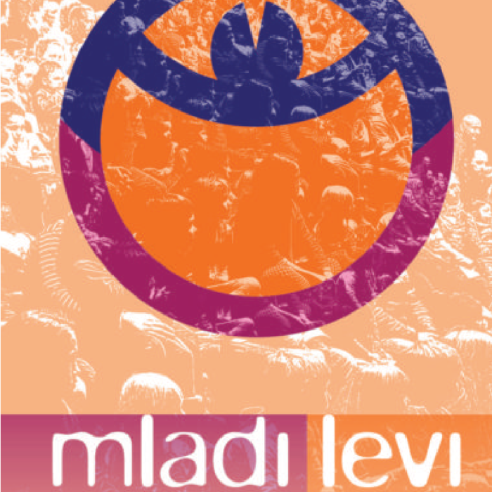PDF Preview