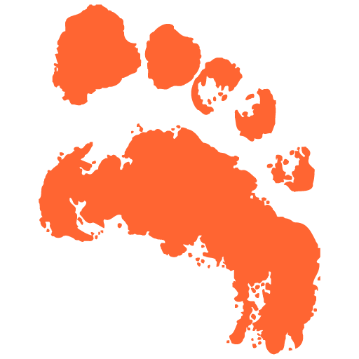 Intakt