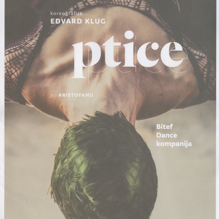 211 ptice_1.pdf